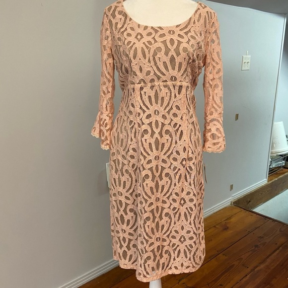 Rabbit Rabbit Rabbit Design Lace Overlay Dress Size 4 Romantic Blush Pink Church - Picture 9 of 9